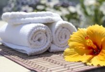 Aloes w kosmetyce – jak go używać?